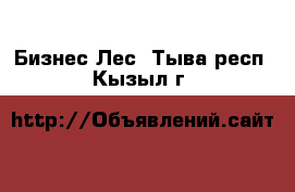 Бизнес Лес. Тыва респ.,Кызыл г.